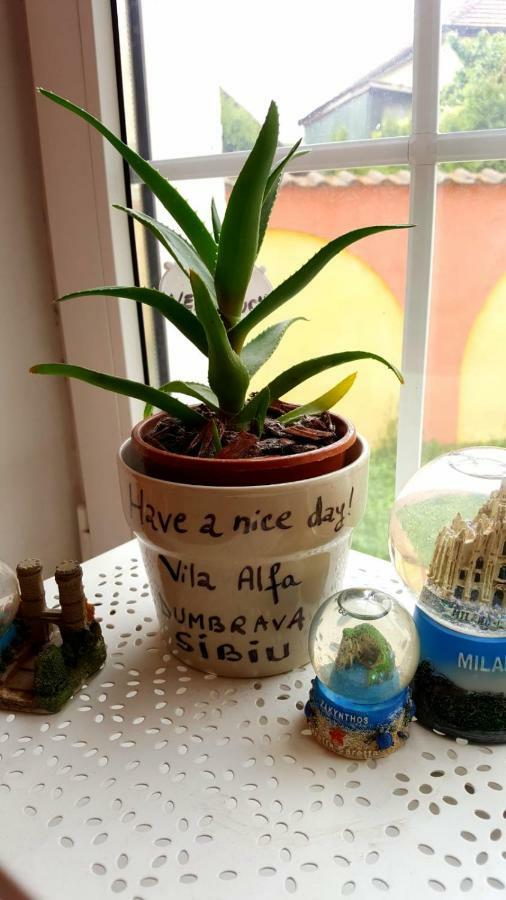 Vila Alfa Dumbrava Sybin Zewnętrze zdjęcie